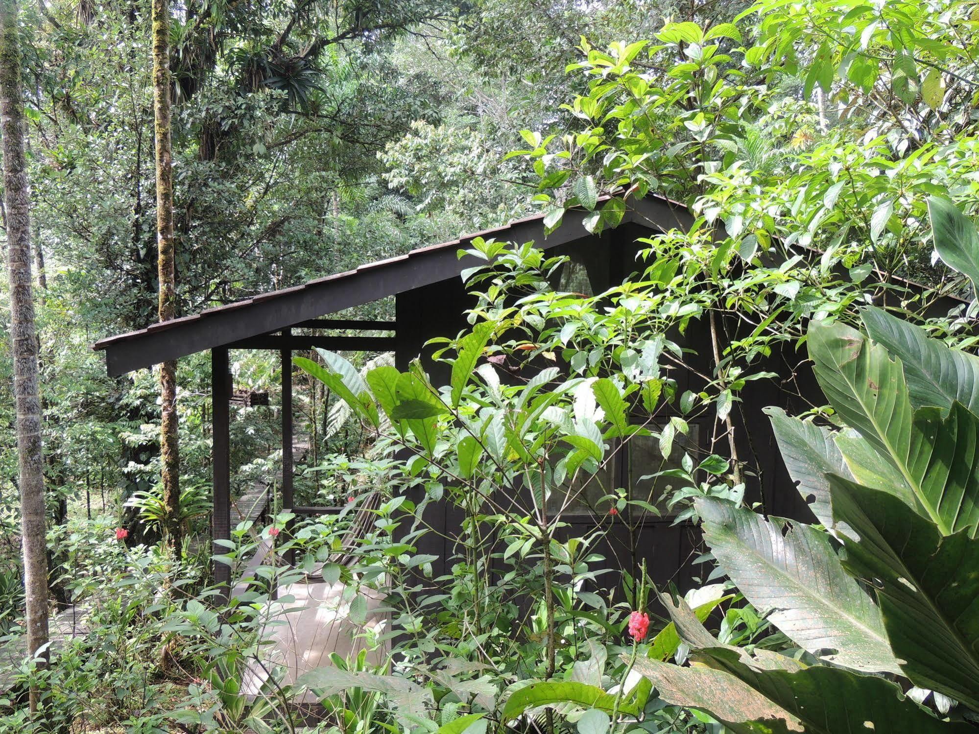 Yatama Rainforest Ecolodge Sarapiquí Exteriér fotografie