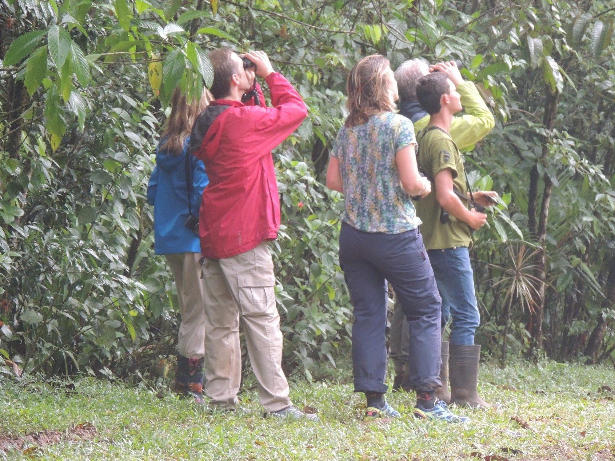 Yatama Rainforest Ecolodge Sarapiquí Exteriér fotografie