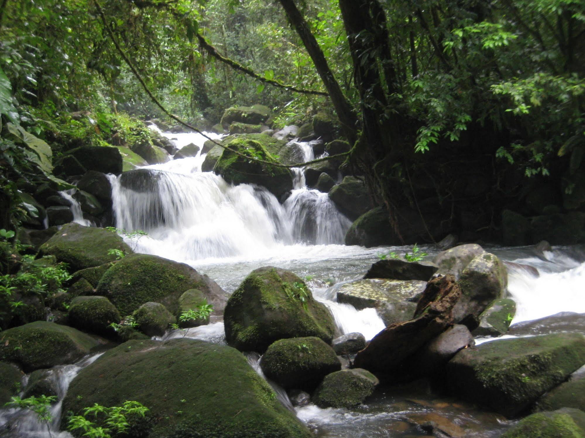Yatama Rainforest Ecolodge Sarapiquí Exteriér fotografie